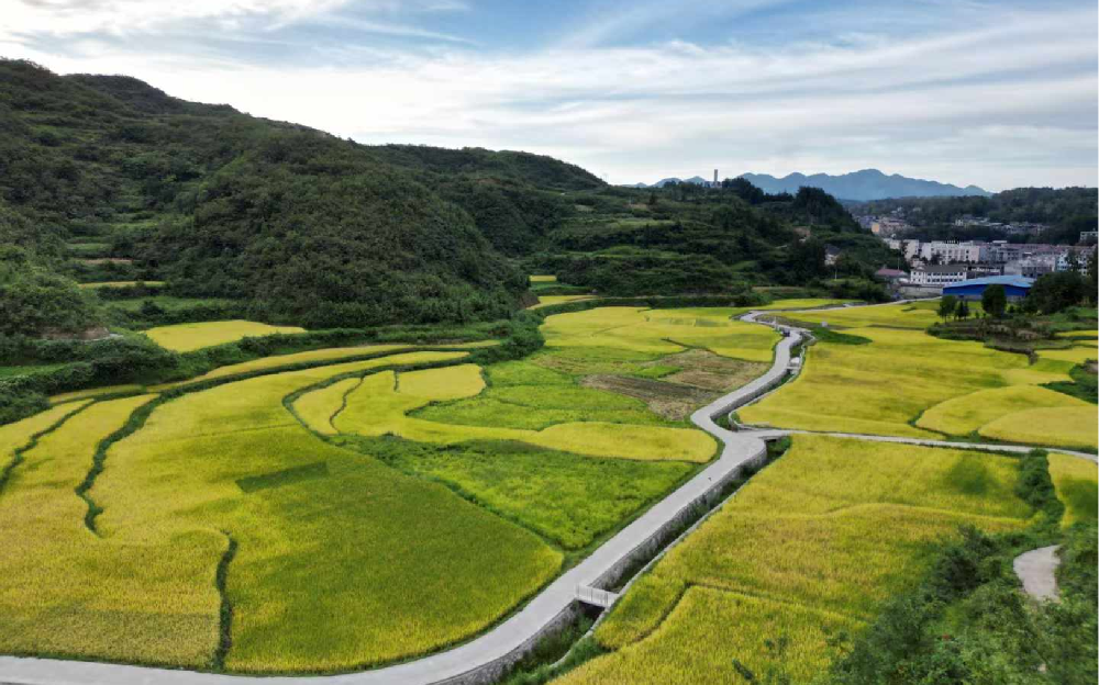 bevitor·伟德国际官方网站 - 始于1946源于英国