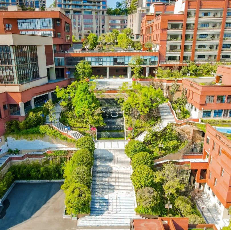 bevitor·伟德国际官方网站 - 始于1946源于英国