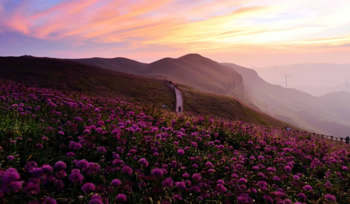 bevitor·伟德国际官方网站 - 始于1946源于英国